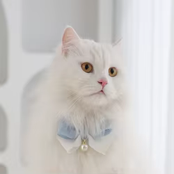 Collar elegante con perlas y mariposa para perros y gatos