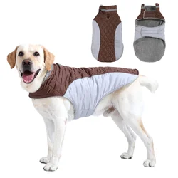 Abrigo impermeable reflectante para perros grandes Labrador – Invierno
