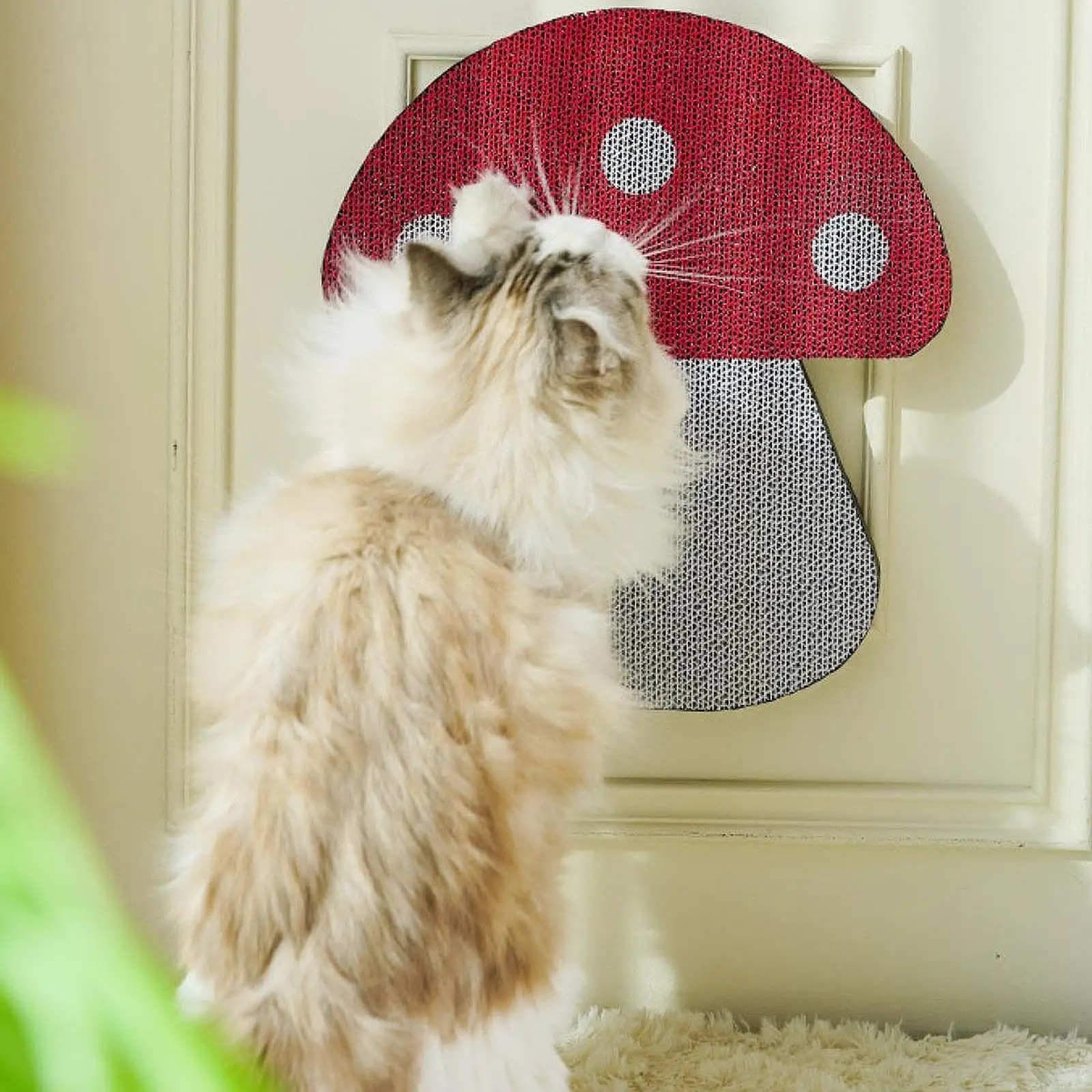 Almohadilla rascadora para gatos con forma de seta para gatos pequeños, medianos y grandes, gatitos