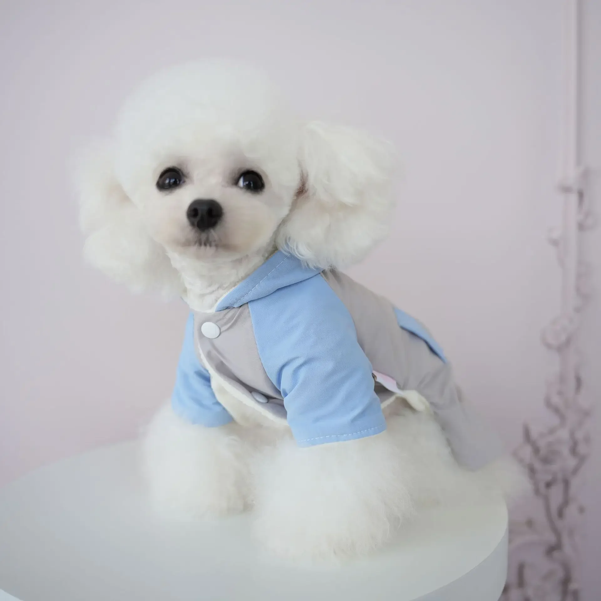 Ropa informal de cuatro patas con bolsillo para mascotas, cortavientos de otoño e invierno, ropa impermeable y resistente al viento para exteriores, ropa para caminar para perros - imagen 2