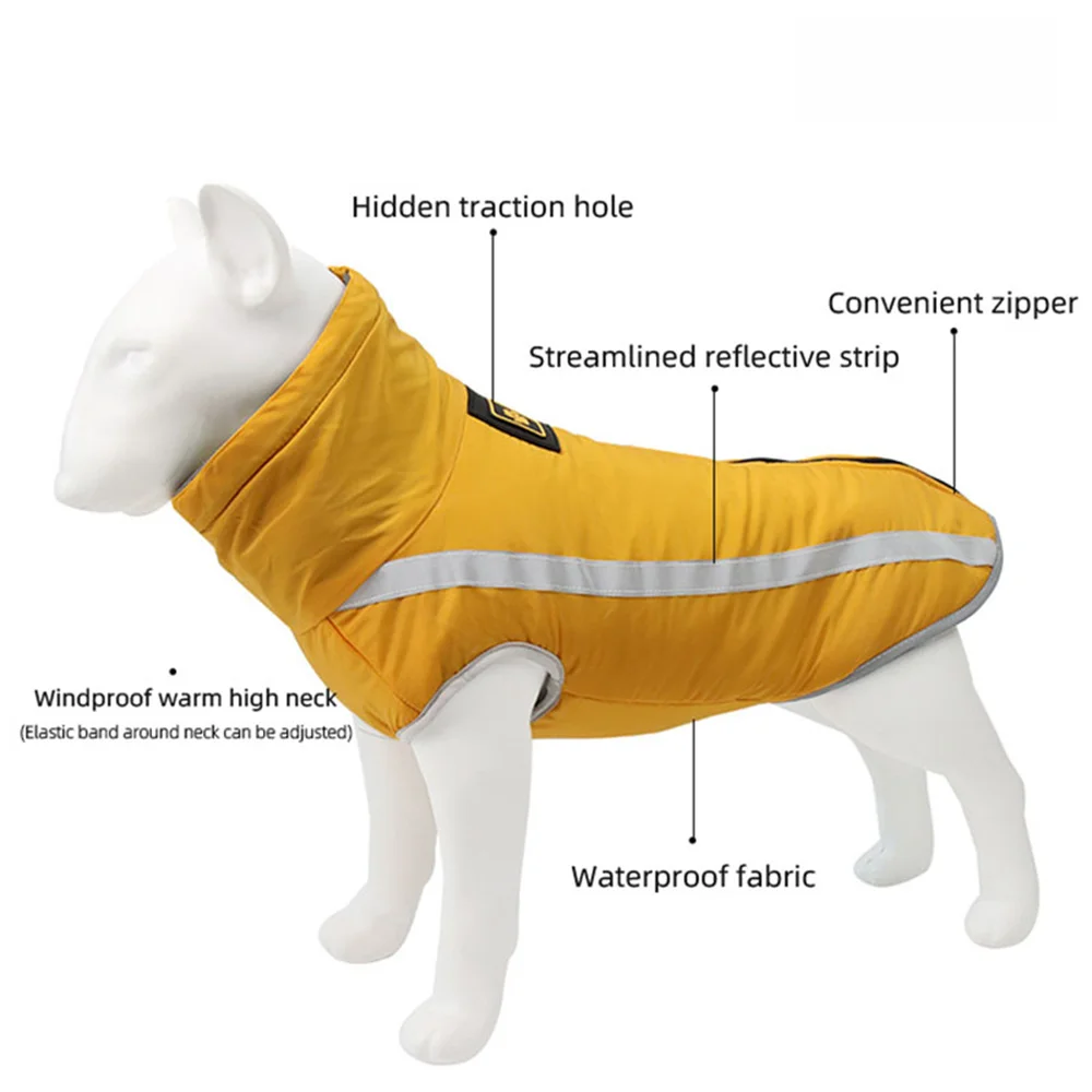 Perro usando chaqueta acogotada