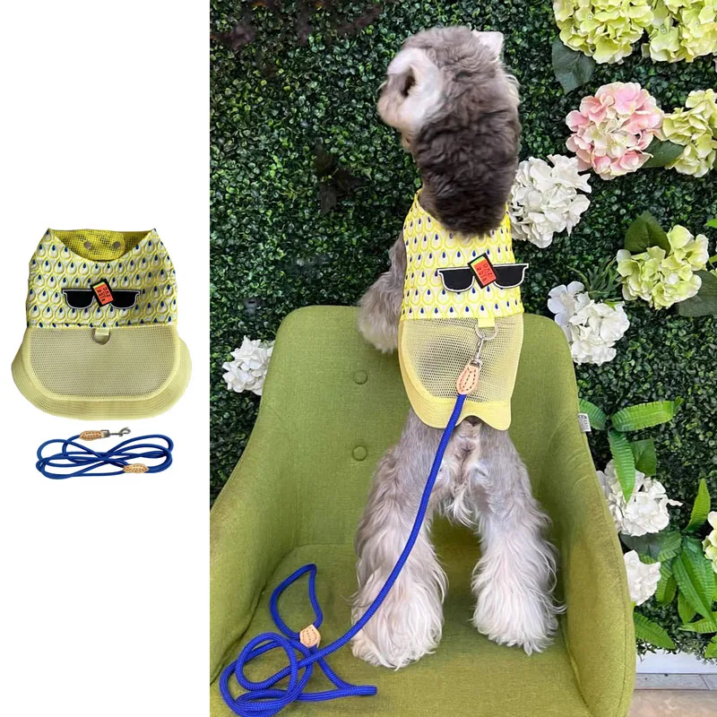 Conjunto de correa de arnés para perro de lujo, chaleco refrescante para perro de verano para Schnauzer maltés, arnés de malla transpirable ajustable para caminar al aire libre