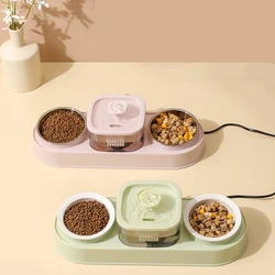 Cuenco doble antideslizante para gatos y perros, dispensador de agua