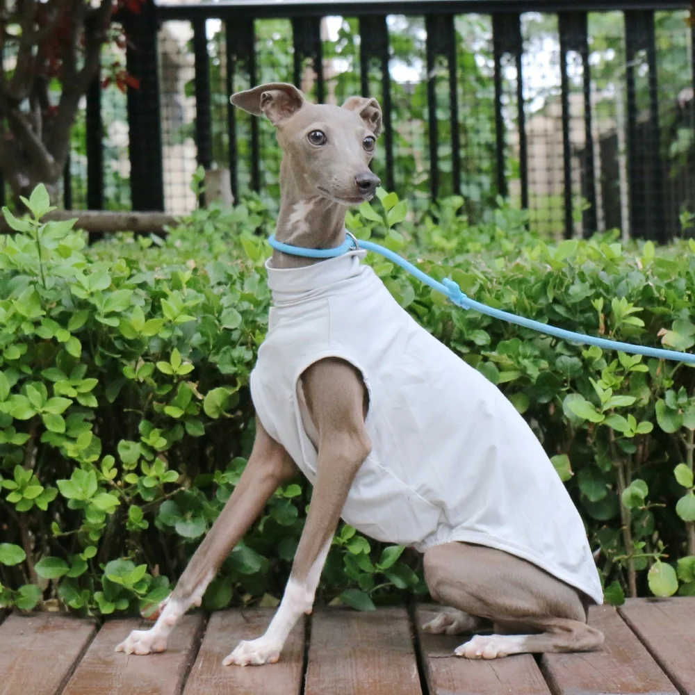 Pet Poodle Purple Sun Vest Summer Cool Camiseta para Galgo Italiano Mono Suave Color Sólido Verde Gris Claro para Wellington - imagen 2