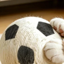 Pelota rascadora sisal interactiva para gatos – vertical resistente