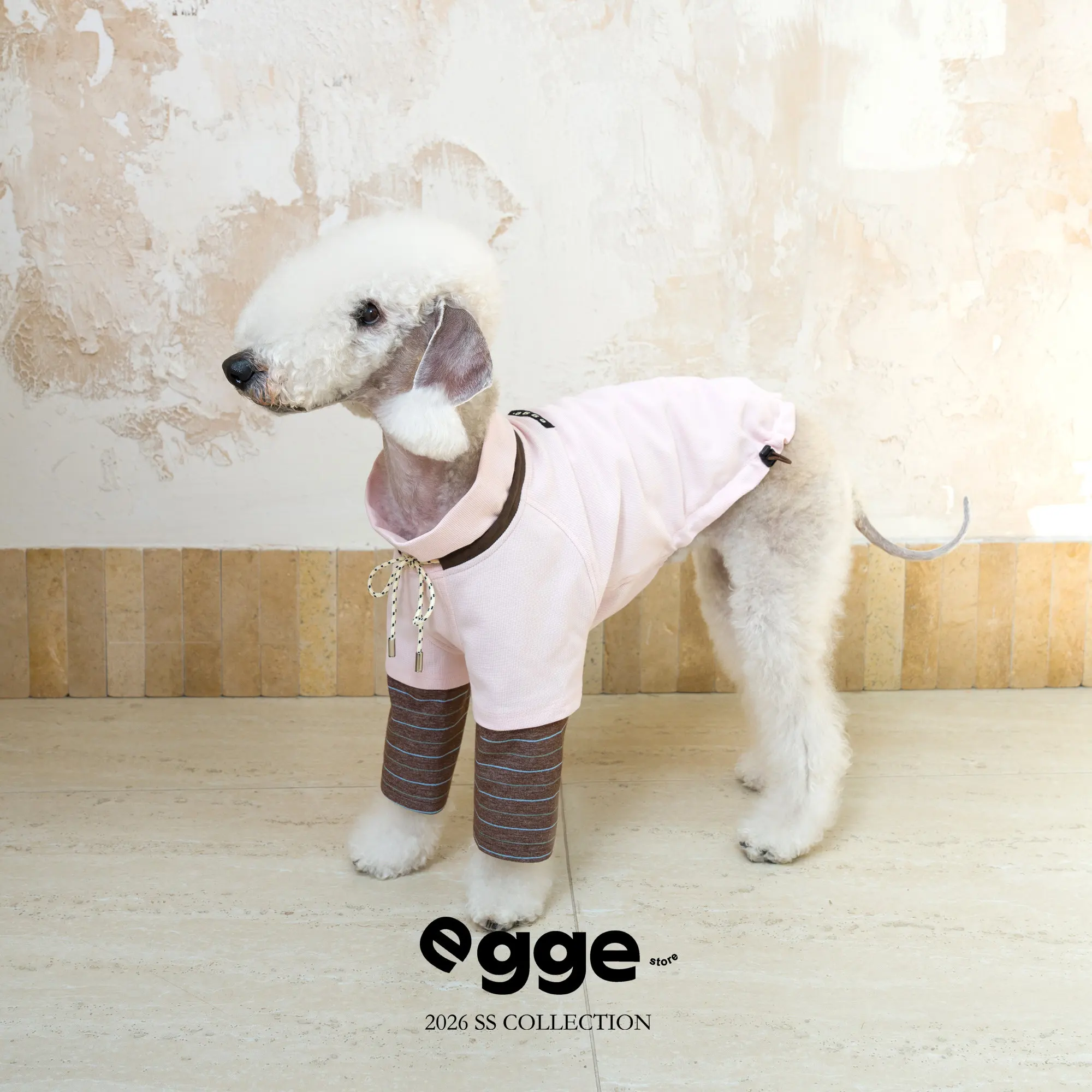 Sudadera con capucha para perros Galgo Italiano estilo universitario - imagen 5