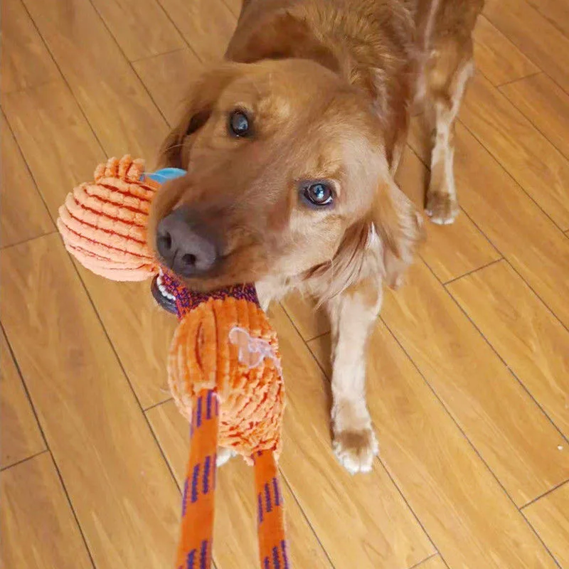 Variedad de formas disponibles