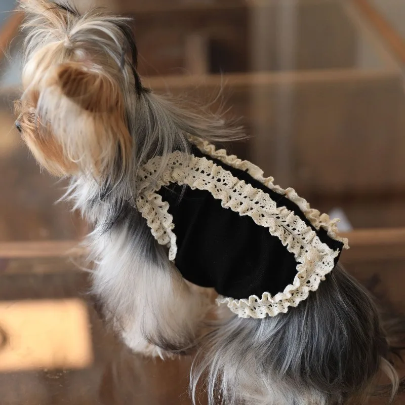 Ropa para perros pequeños, ropa de lujo para cachorros, cosas para perros Chihuahua de otoño, chaleco para mascotas, suministros de productos para mascotas de algodón para gatitos y gatos de verano - imagen 4