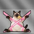 Siamese cat