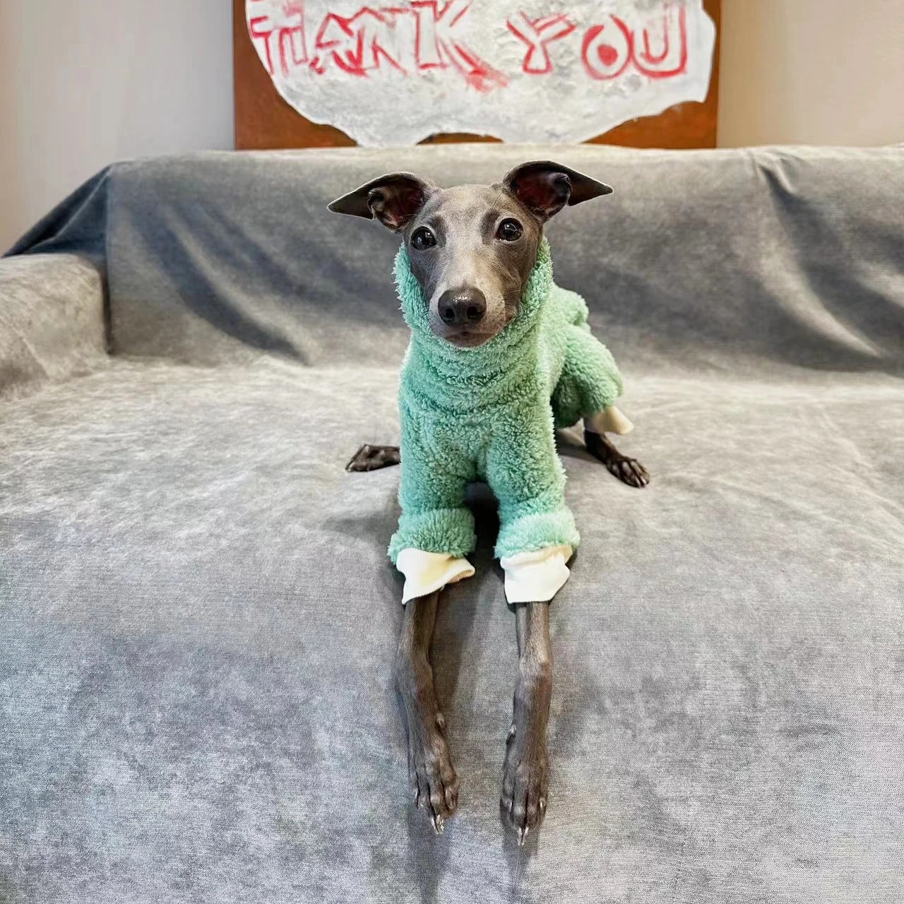 Ropa de lana de doble cara para perro, abrigo cálido de Galgo para mascotas, ropa verde para cachorros, Invierno - imagen 4
