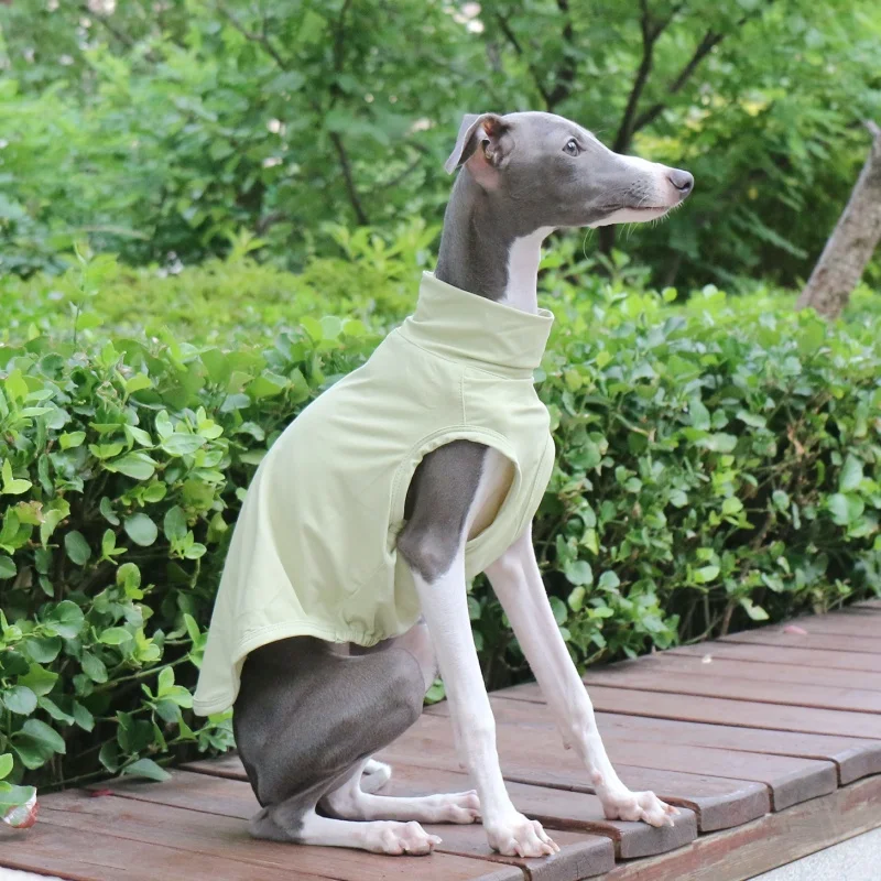 Pet Poodle Purple Sun Vest Summer Cool Camiseta para Galgo Italiano Mono Suave Color Sólido Verde Gris Claro para Wellington - imagen 4