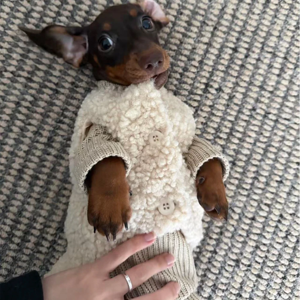 Suéter de punto de invierno para perros tejón, ropa de descanso de otoño para perros Wiener, chaleco de invierno, traje para perros pequeños salchicha - imagen 4