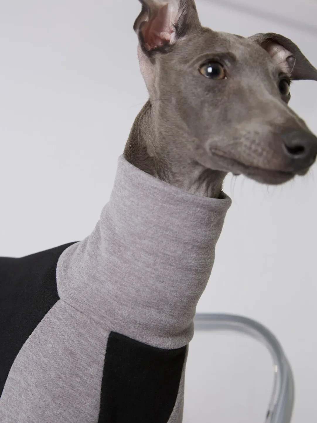 Sudadera gruesa y cálida de lana para perros medianos y grandes en invierno, abrigo gris suave de 4 patas para galgos, mono de cuello alto para Whippet - imagen 4