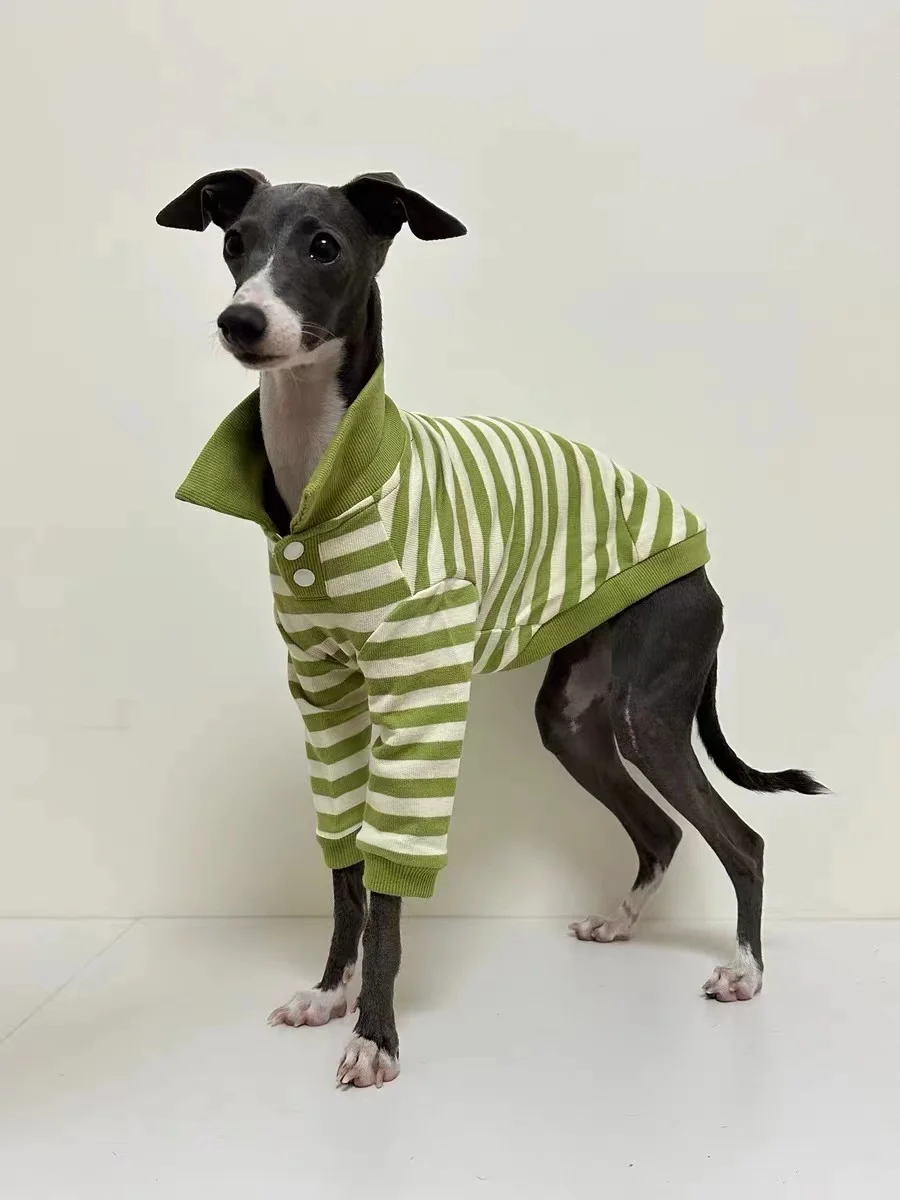 Camisa POLO de algodón puro para perros, ropa elástica para perros galgo italiano Whippet Bellington, rayas verdes, otoño e invierno - imagen 4