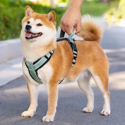 Arnés sin tirones para Corgi, Shiba Inu y Pug