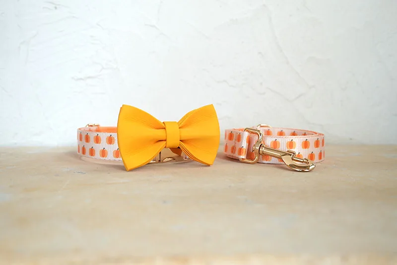 Collar y correa con lazo