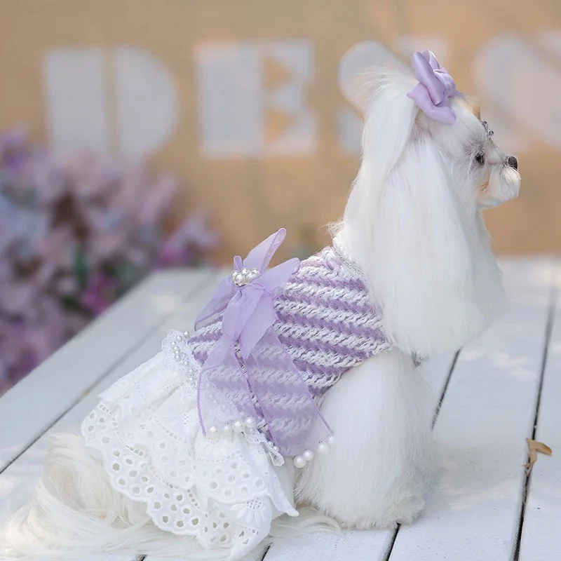 Abrigo a rayas moradas para otoño e invierno, ropa bonita con lazo de malla para perros pequeños, falda bonita de princesa, ropa para mascotas con terciopelo grueso - imagen 4