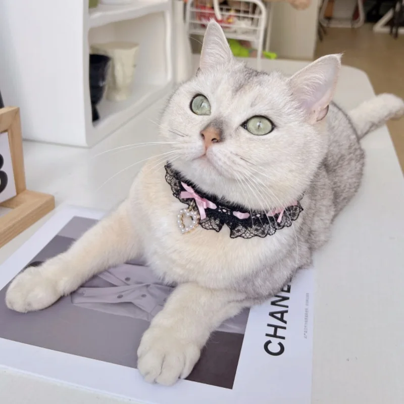 Collar de encaje de primavera para mascotas, Collar de Estilo Princesa, Collar de encaje para perros, accesorios para perros pequeños y cachorros - imagen 3