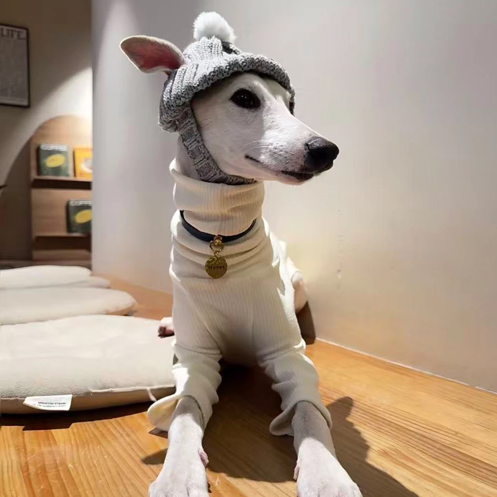 Camiseta manga larga para galgo italiano y whippet – Estilo japonés - imagen 4