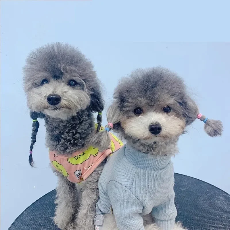 500 Uds. Banda de goma elástica colorida para mascotas, accesorios para el cuidado de perros, producto para el cabello de perro, horquilla, accesorio para el cabello - imagen 5