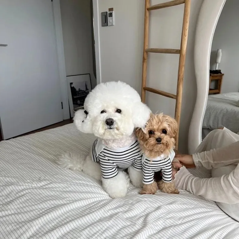 Vestido a rayas para perros y mascotas, ropa de verano para mascotas, vestido para parejas de peluche, chaleco, falda antiderramiento maltesa, suministros para mascotas - imagen 5