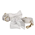 Bow Collar Leash Set
