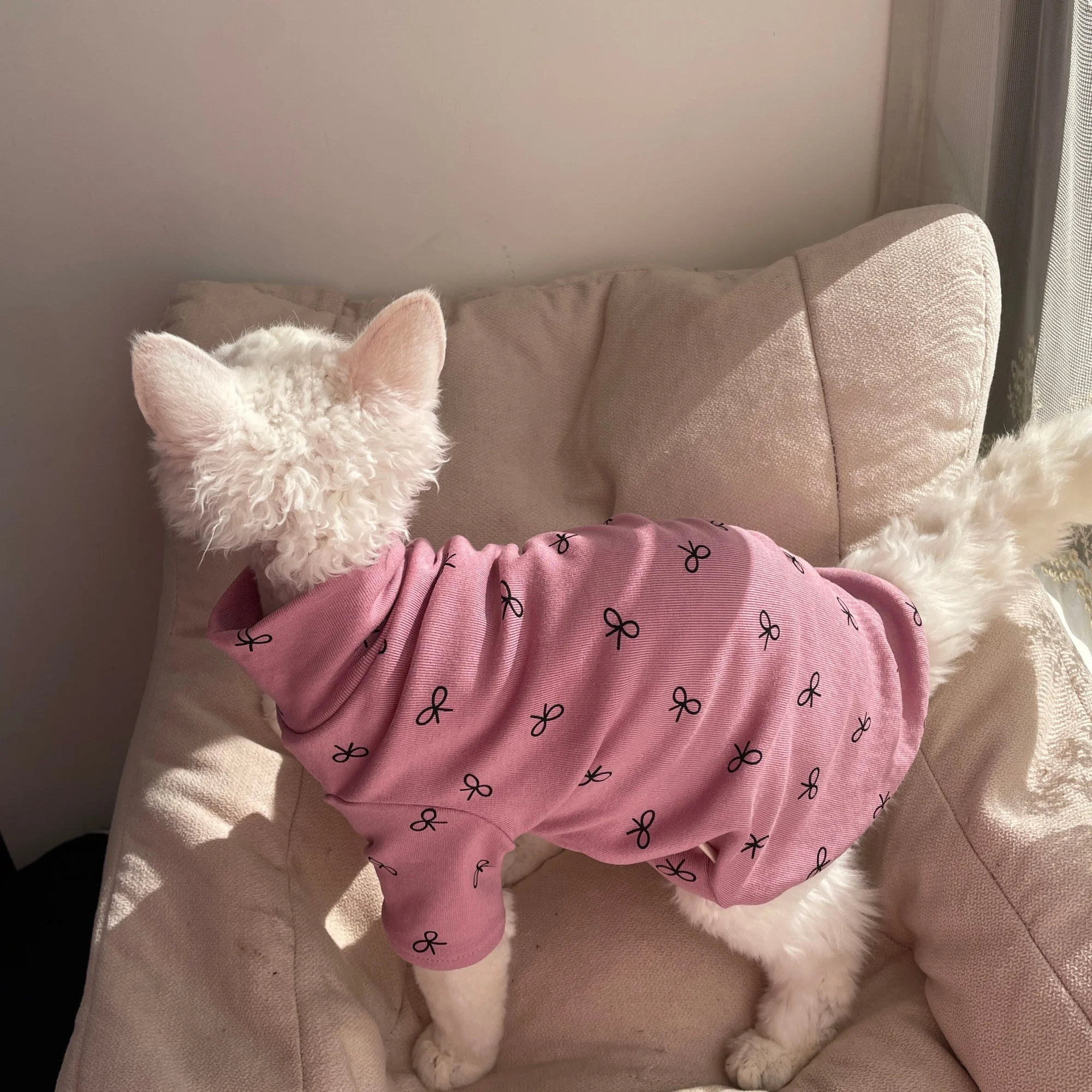 Camiseta algodón rosa para gato Esfinge y Devon Rex – Primavera otoño - imagen 3