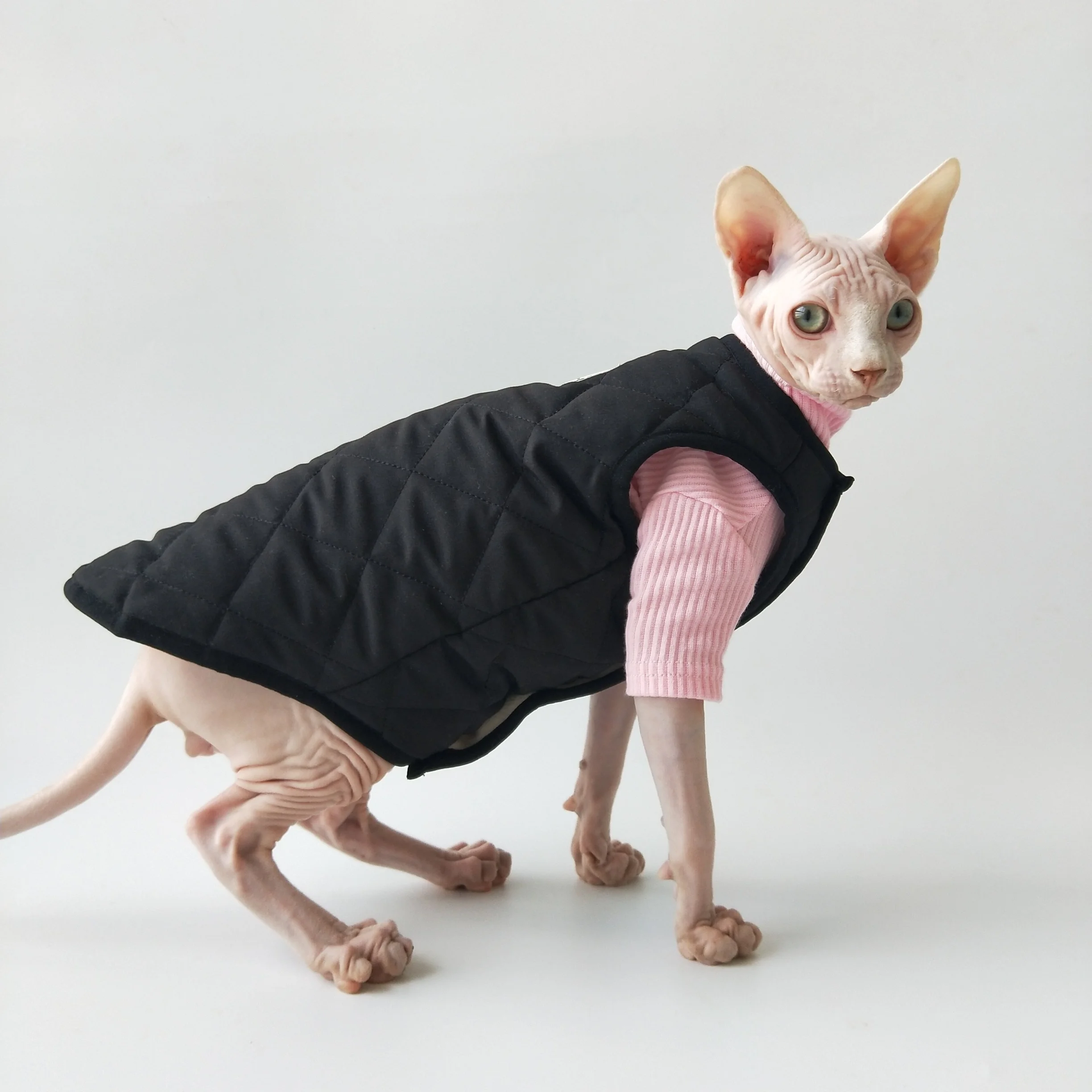 Chaleco con forro polar de algodón para gatos Sphynx otoño invierno - imagen 2