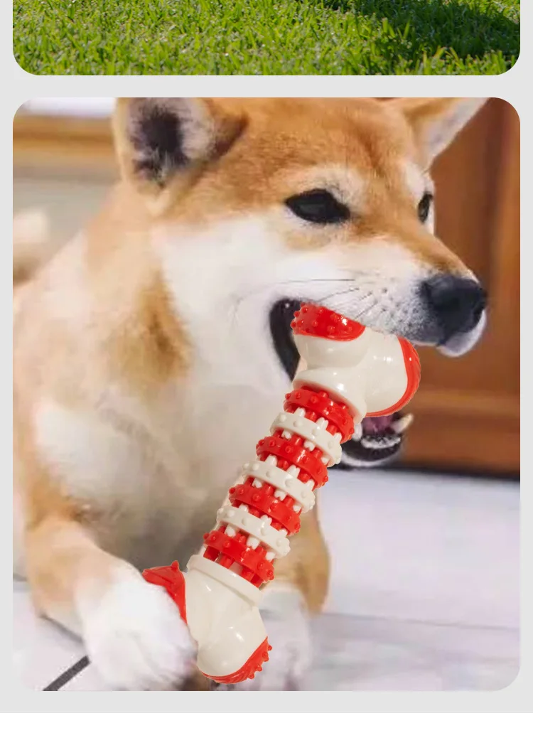 Un perro sosteniendo un juguete en la boca