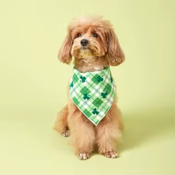 Bandana trébol verde San Patricio para perros y gatos
