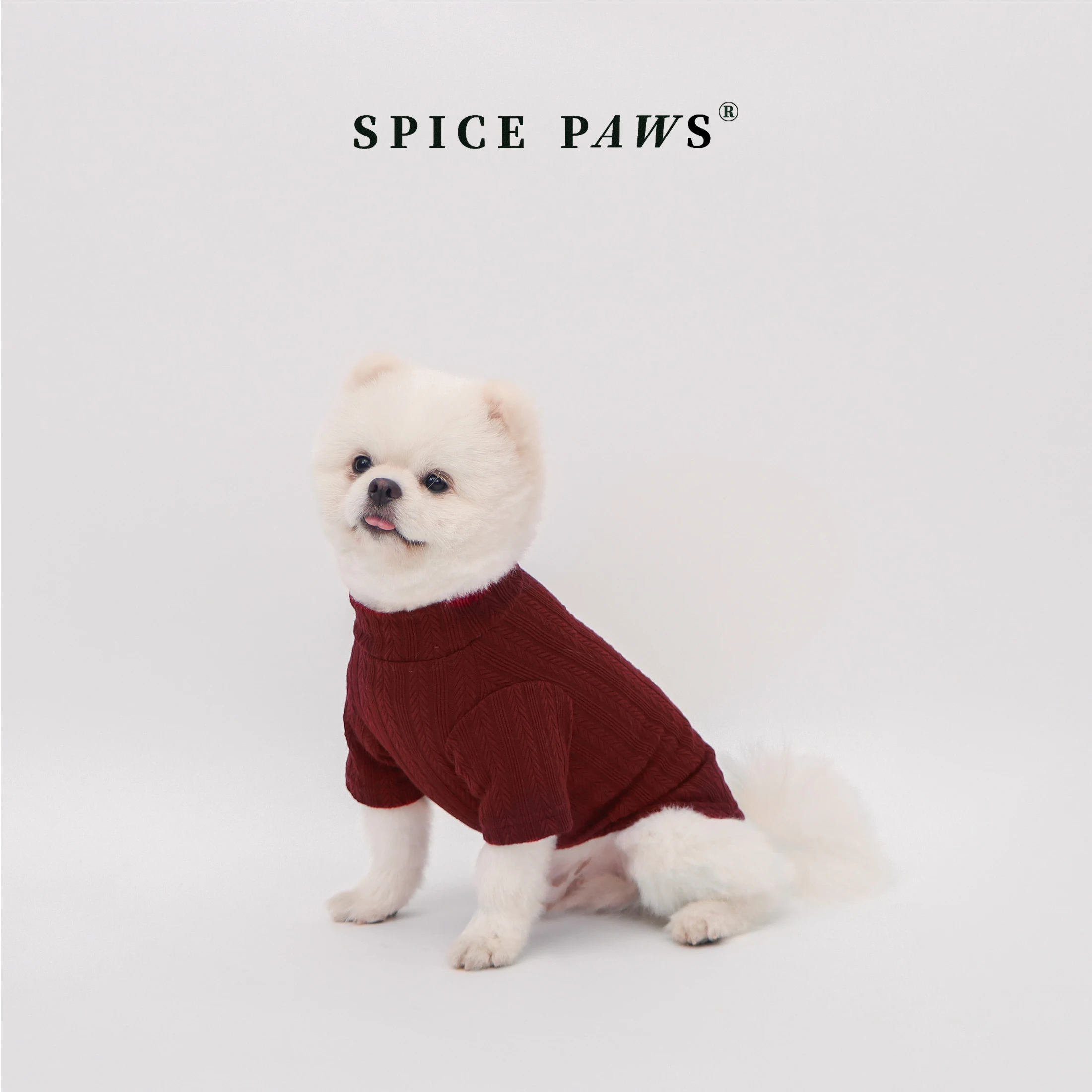 Jersey con capucha para perro y gato, cálido y suave de invierno - imagen 3