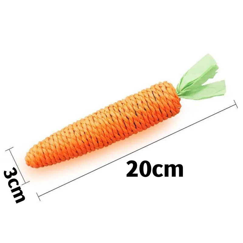 Large Carrot