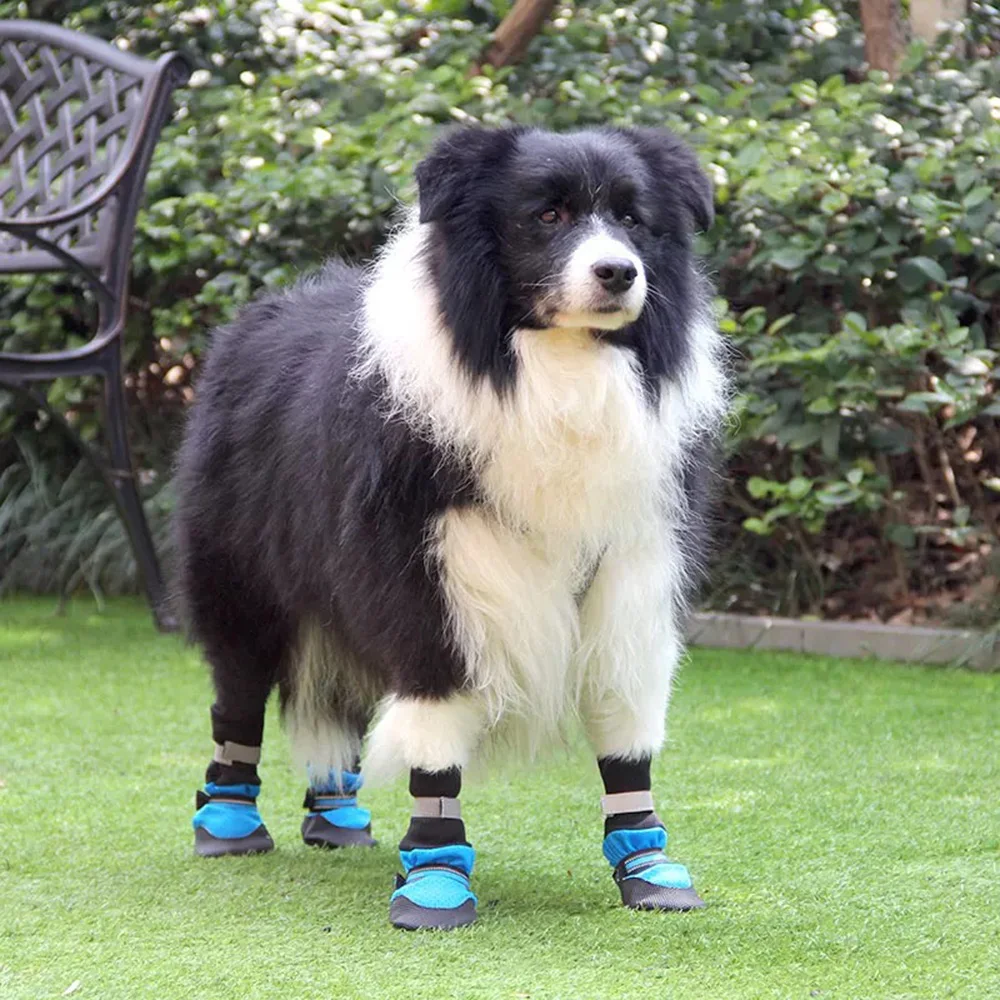 Botas protectoras de verano para perros – Malla transpirable, perros medianos y grandes - imagen 3