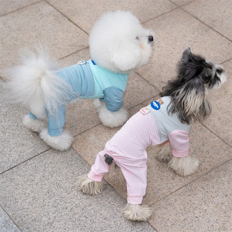 Chaleco malla refrescante para perros verano – Refresca a tu perro - imagen 3