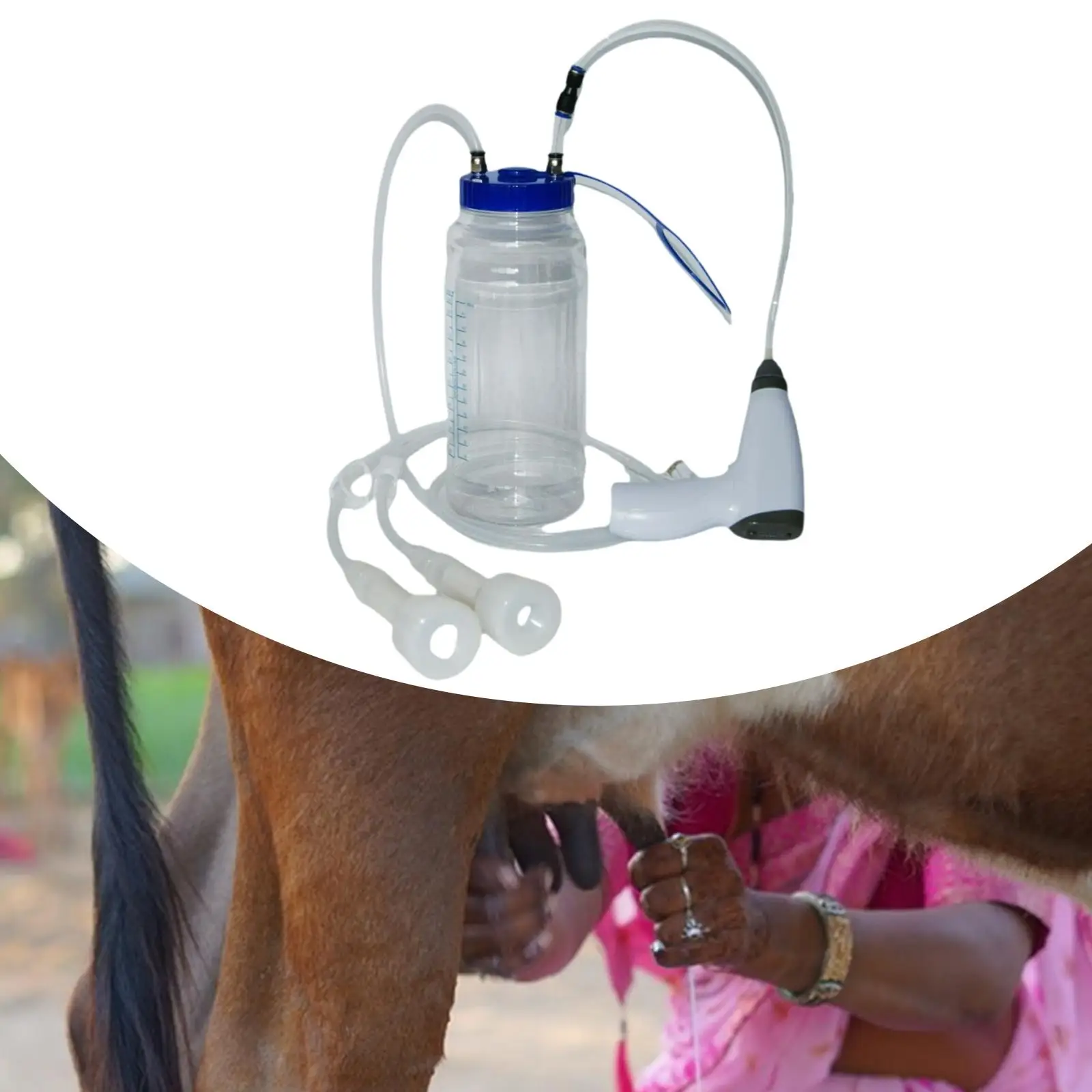 Accesorios para máquina de ordeño de vacas, bomba de succión al vacío, batería recargable, ordeñador de cabras de 2L para el hogar, ovejas, vacas y cabras - imagen 5