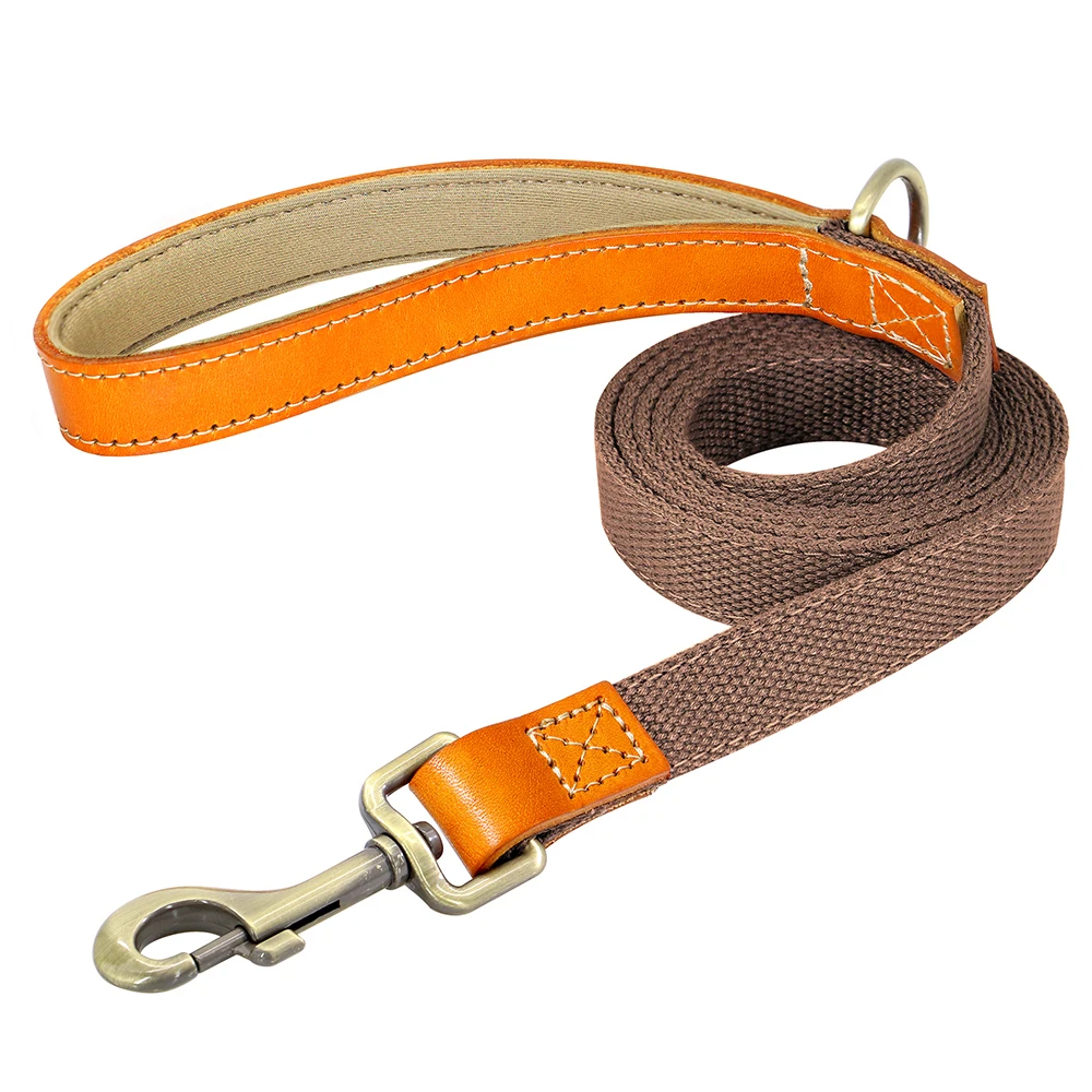 Brown Leash