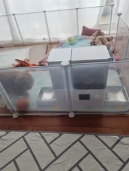 Imagen de reseña 2