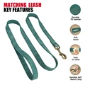 Green Leash