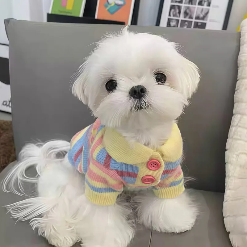 Suéter amarillo a rayas de punto peluche para perros Maltés y Caniche - imagen 3