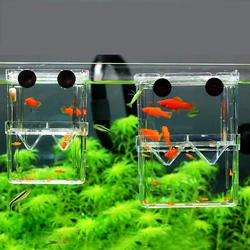 Caja transparente divisoria para acuarios de peces y tortugas