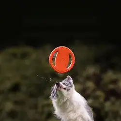 Discos voladores para perros resistentes a mordidas - Entrenamiento