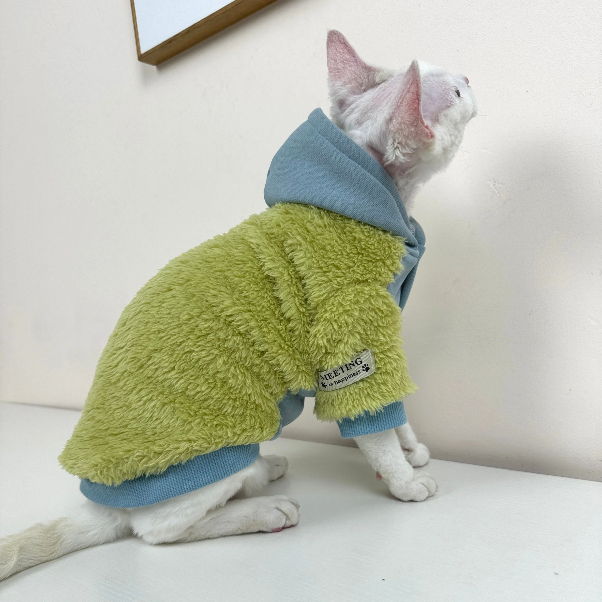 Cárdigan de forro polar grueso para gatos Sphynx invierno con capucha