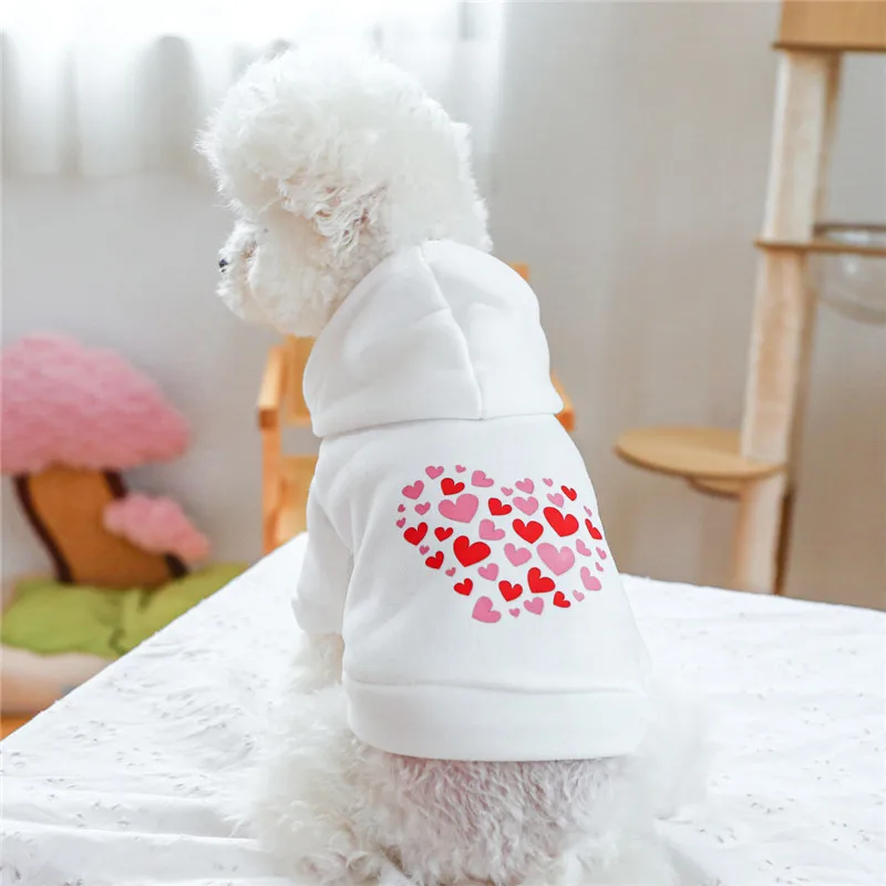 Especificaciones técnicas - Detalle de materiales