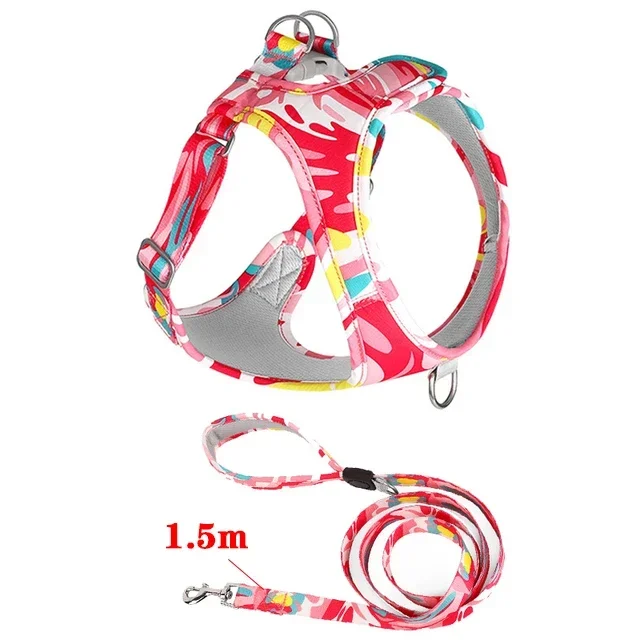 red with 1.5m leash