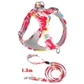 red with 1.5m leash
