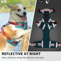 Arnés reflectante tipo chaleco para perros – Chihuahua y Corgi mini