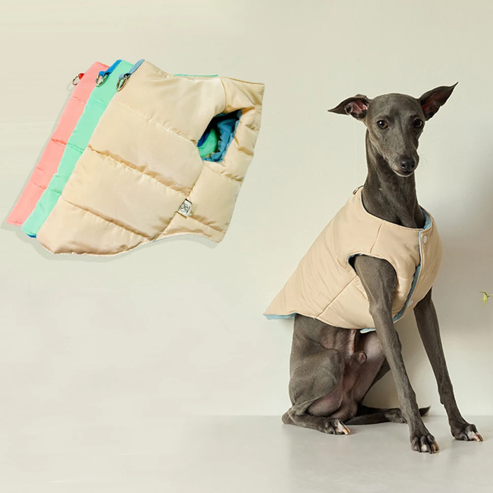 Chaqueta de invierno de galgo pequeño italiano, chaleco grueso cálido con botones en blanco y azul, ropa de Whippet a la moda, abrigo a prueba de viento para perros - imagen 2