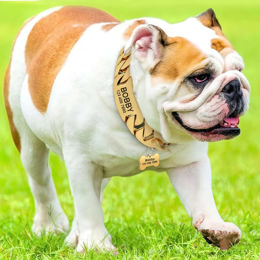 Collar para perros grandes en acero inoxidable 32 mm con letras - imagen 5