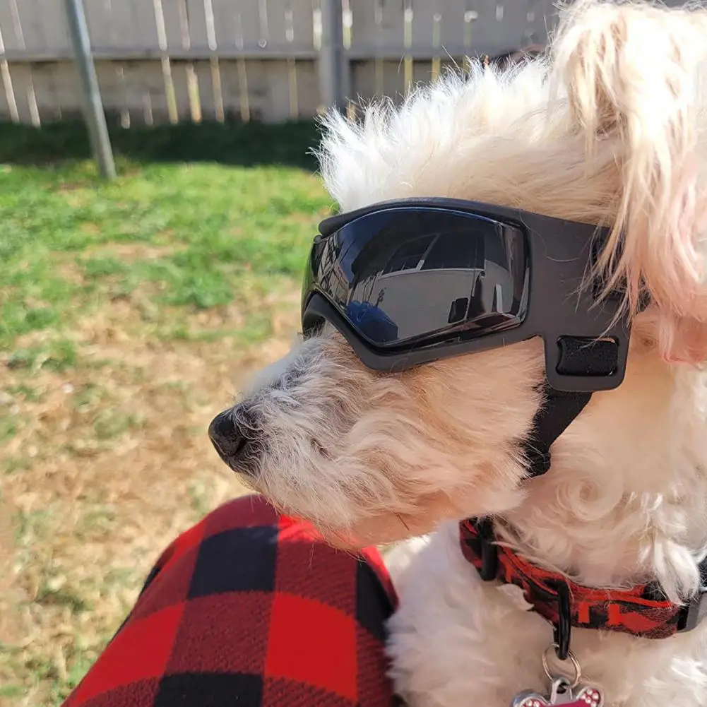 Gafas ligeras a prueba de viento y polvo para perros, protección Uv, fuerte dureza, suministros para mascotas - imagen 2