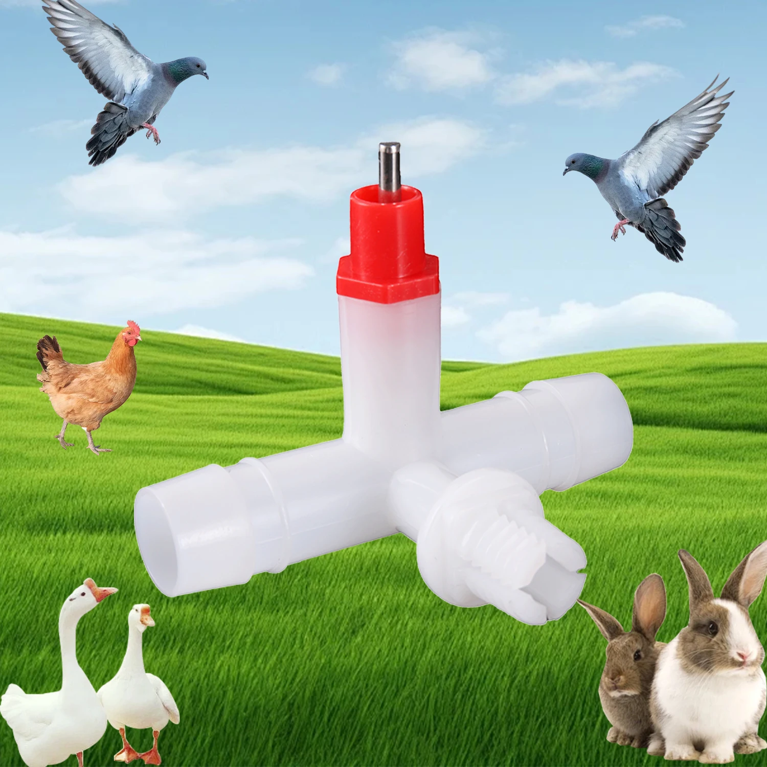 Fuente de agua colgante para gallinero de granja, boquilla automática para beber aves de corral, jaula para pollos de tres vías, equipo para beber a presión, 5 uds. - imagen 4